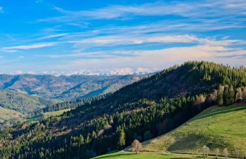 Fidelis-Bühl Muggenbrunn - Foto 7