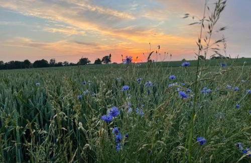 Wunderschone Ferienwohnung im Burgenland - Foto 59