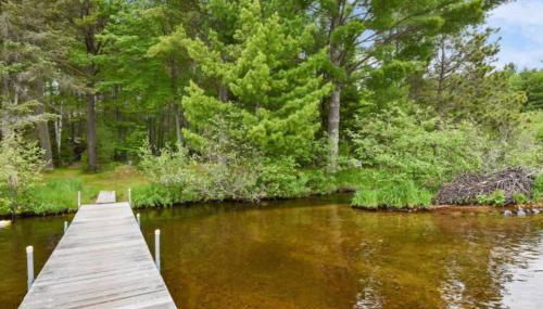 Creekside Big St Germain Lake - Foto 5