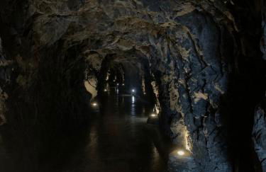 Praia Formosa Ocean View - Funchal - Foto 44