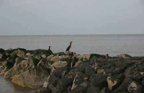 Beach Links - Foto 26