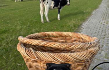 Haus Nordseeliebe mit Außensauna, Outdoor Dusche und Wallbox - Foto 34