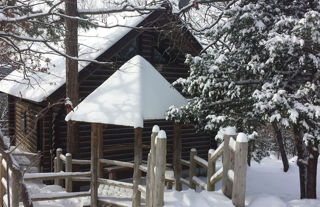 Cherokee mountain log cabin resort - Foto 1