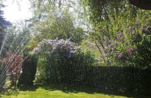 Holiday Home mit Garten- Grill und Terrasse by Interhome - Photo 24