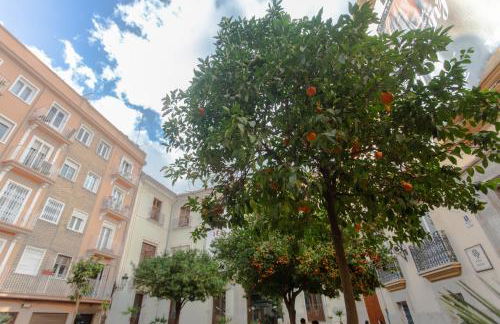 VLC - Cisneros - Photo 34