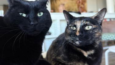 Maison avec vue mer et jacuzzi à 15 mn du centre - Foto 5