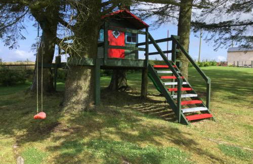 Green Yurt with Hot Tub - Sleeps 3 Parking & Pets - Photo 21