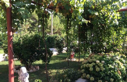 Tiho i Slađana apartments - Foto 39