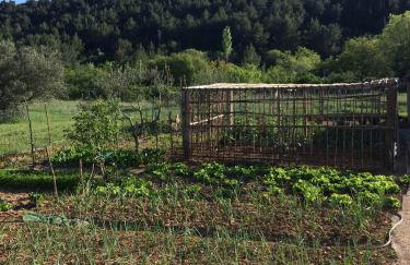 Apartman Rosa - Foto 31