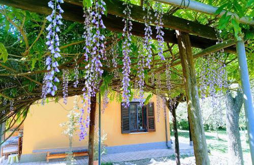 Country House tra lago e mare a Sud di Roma - Foto 24