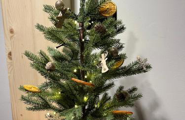 Przystanek SUCHE - Foto 13