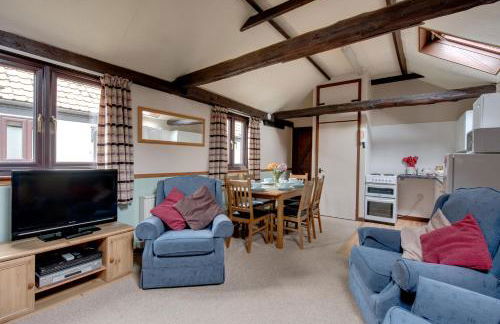 Birds Farm - Foto 74