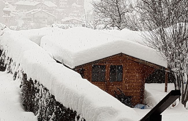 Appartments Zinner-Pale - Photo 21