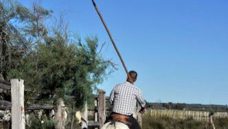 L'ANCRE MARINE - Appartement 2 chambres avec parking proche de la plage - Photo 5