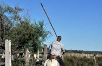 L'ANCRE MARINE - Appartement 2 chambres avec parking proche de la plage - Photo 5