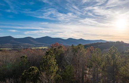 Tranquil Stays - Foto 1