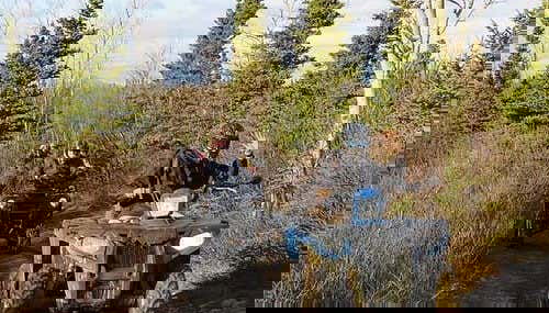 Nella natura selvaggia dell'Alaska