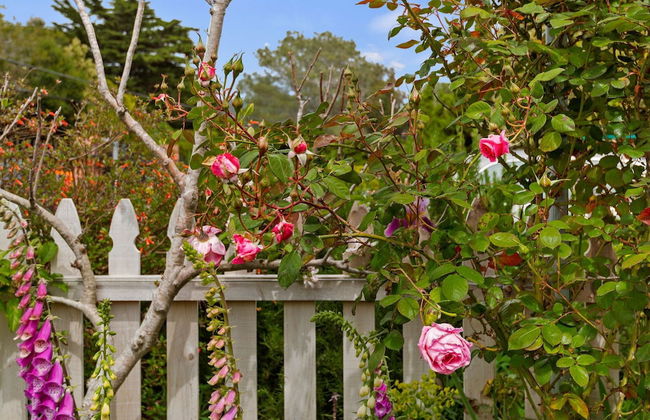 Padaro Midcentury Beach & Garden - Foto 27