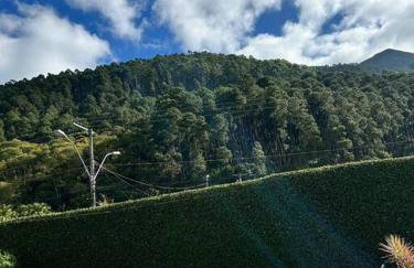 Refúgio na Serra Condomínio em Olaria, Nova Friburgo-RJ - Foto 69