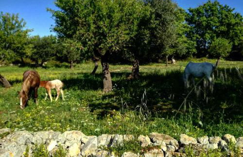 Dimora Quattro Fontane - Foto 48