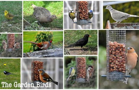 Ornum Cottage - Foto 14