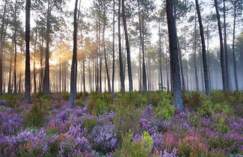 Maison Solyselva Piscine- Proche océan- Climatisée - Foto 49