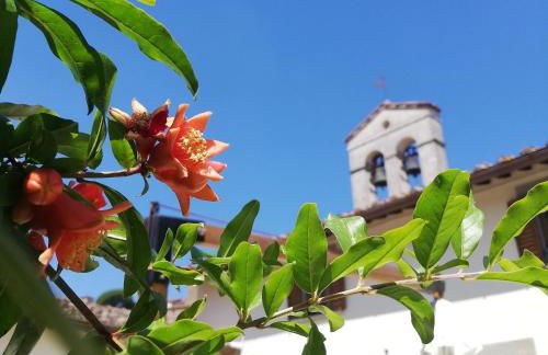 Borgo Sant'Andrea al Pozzo - Foto 32