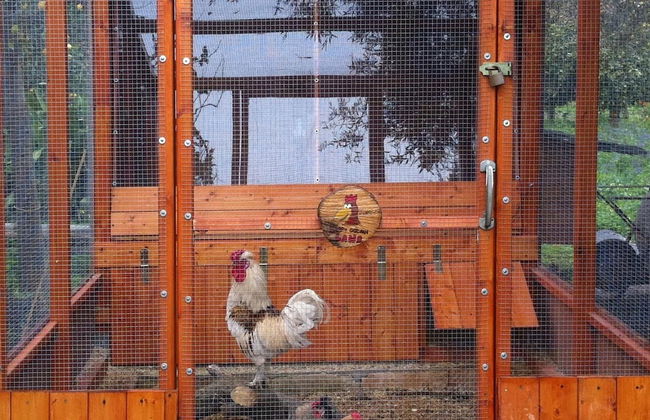 Giardino di Limoni Eco Friendly Villa - Foto 79