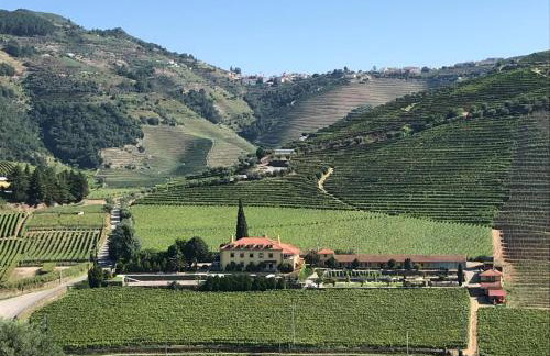 Solar Quinta da Portela - Douro - Foto 2