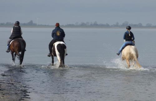 Ferienwohnung Goldblume Hooksiel Nordsee - Foto 36