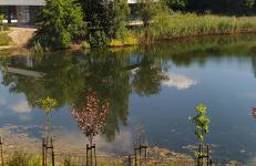 Apartament z widokiem - Foto 29