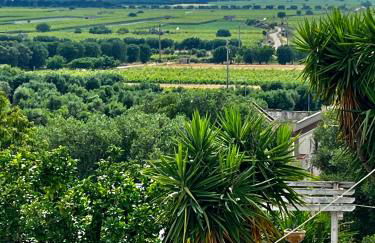 Antica Dimora "Lu suli, Lu mari, Lu jentu" - Foto 34