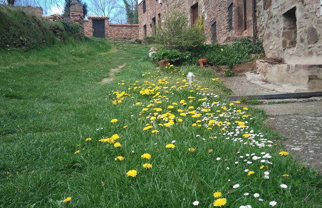 Casa Soleta Ezcaray - Photo 24