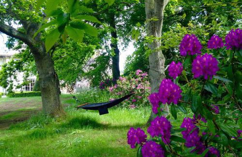 Swafield Hall - Foto 47