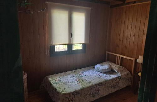 La casa del pi - Foto 18