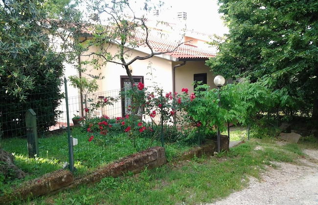 Agriturismo Norianino - Photo 35