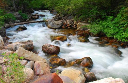 Deer Park Dream - Foto 3