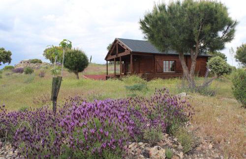 Finca el enebro - Foto 16