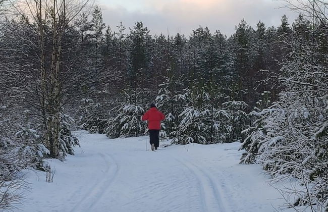 Tallitalo - Garage House - Foto 14