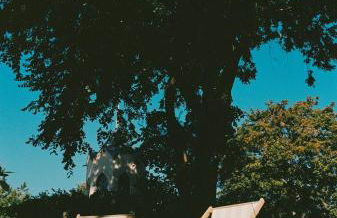 Am Mühlenberg - Photo 79