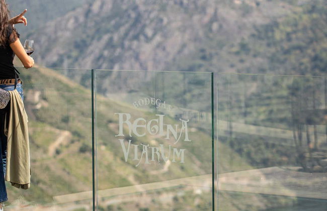 Visita alla cantina Regina Viarum - Foto 1