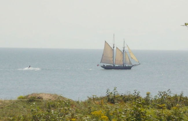 Culver House Hotel - Photo 51