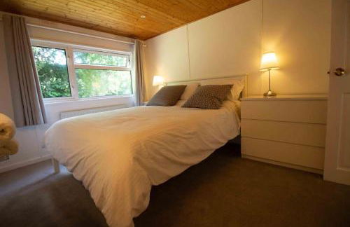 The Little House - Photo 23