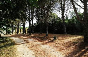 Gite la Picholine_Bourg Saint Andéol - Foto 3