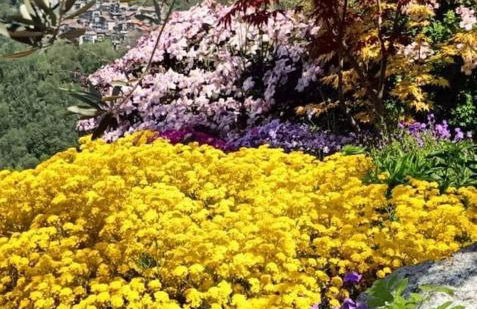 Ca'Capriolo - Foto 30