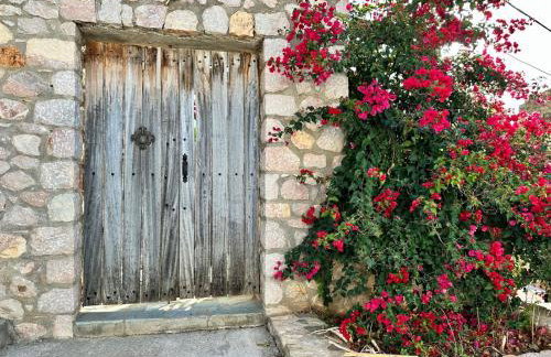 Villa Elika - venezianische Villa - komplettes EG - Meerblick - Foto 16