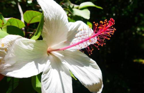 Waterfall House with Ocean Views in Haiku, Maui - Photo 30