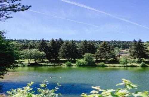 Ferienwohnung im Schwarzwald mit Garten - Foto 62