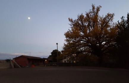 Villa Mainardi Agriturismo - Foto 14