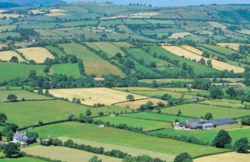 Llanhedric House - Foto 35